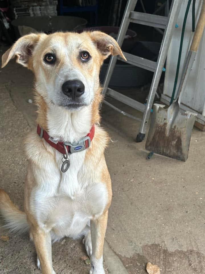 Christina — Unknown