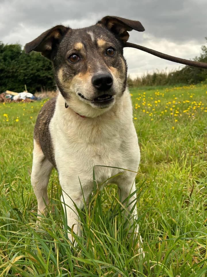 Benjamin — Unknown