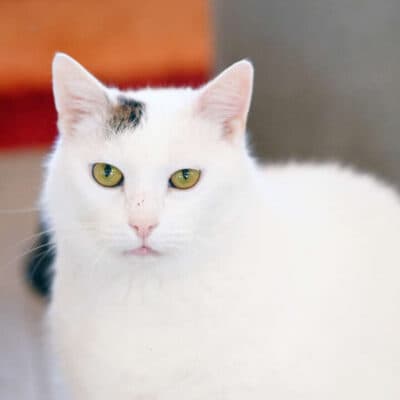 Gundula & Gunter photo 3