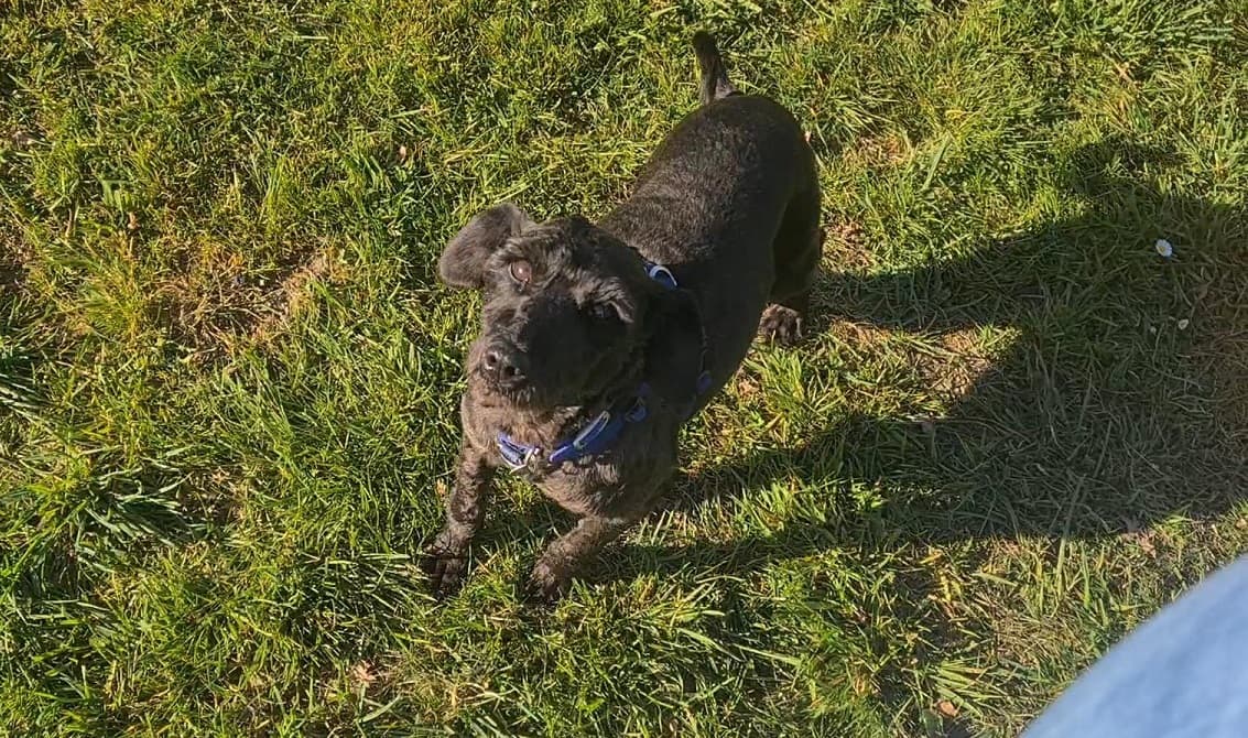 Paisley — Reserved