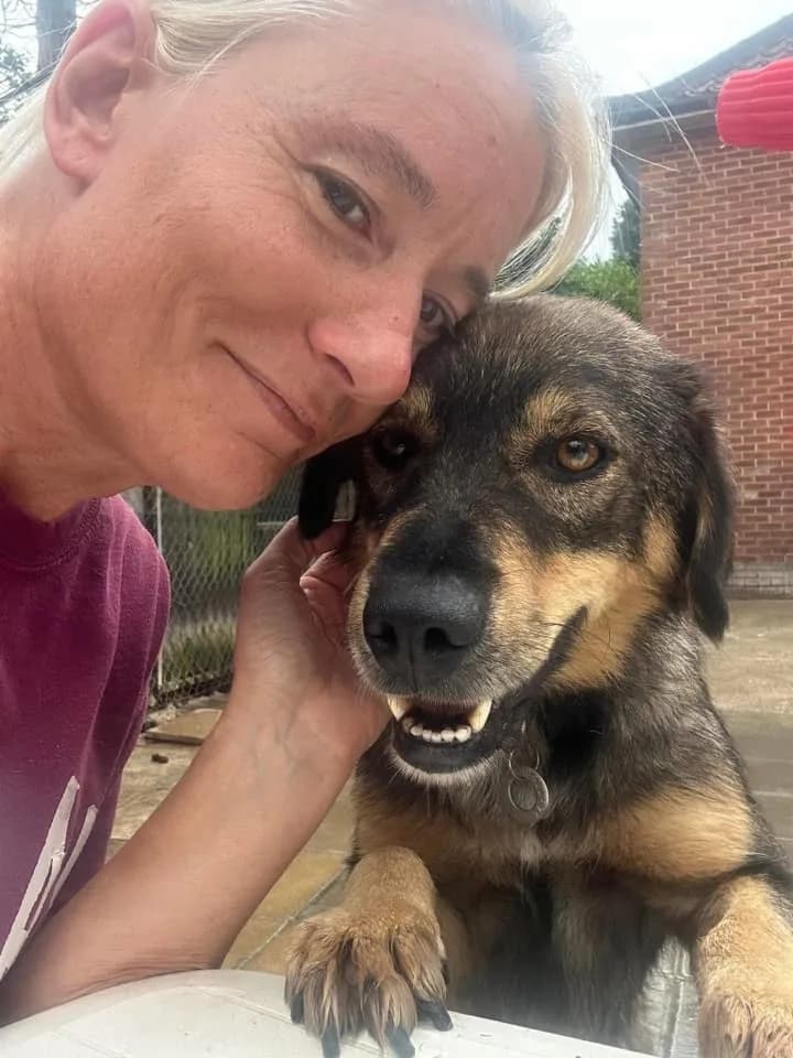 Hovis — Cross-breed