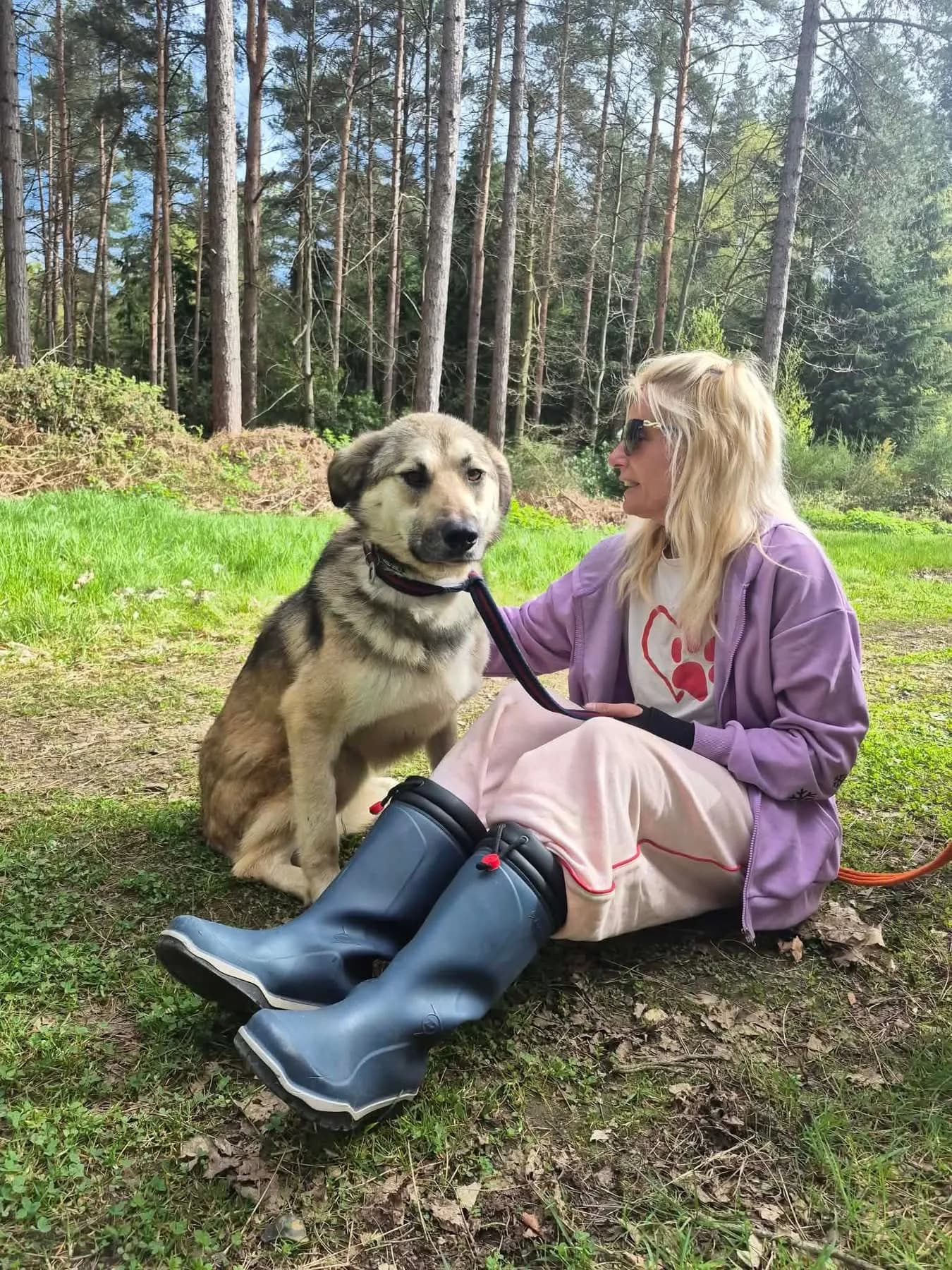 Molly — Cross-breed