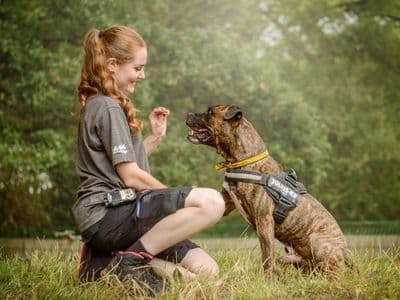 Kyza — Boxer Cross