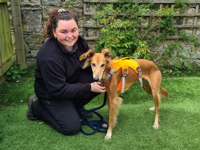 Lizzie Longlegs photo 4