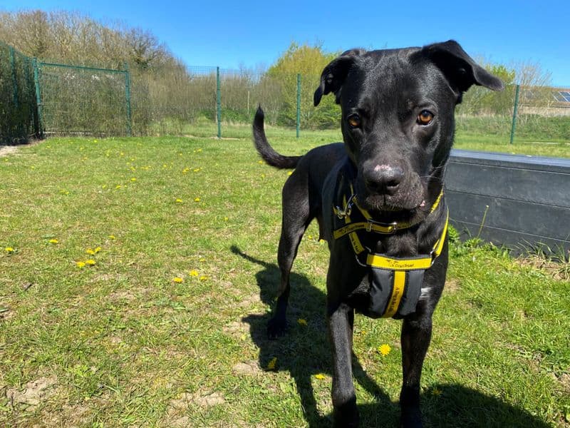 Amy Jane (AJ) photo 2