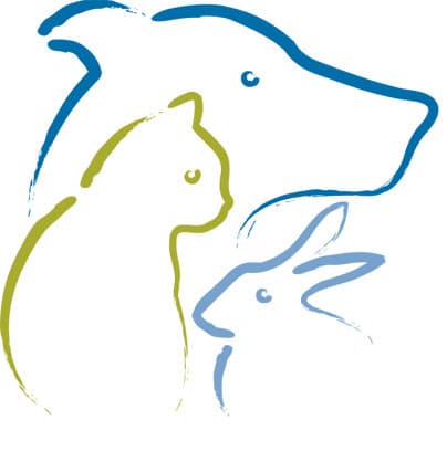 Ray — Of Home They Require For Their Own Parti