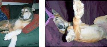 Jolly and Cindy — Unknown