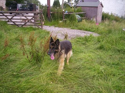 Tommy’s in paradise — Unknown