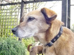 Bess: Loved to bits! — Unknown