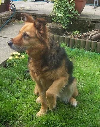 Little Gemma the Gem is home!!!!! — Unknown