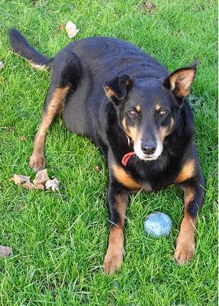 A message from Elsa — Unknown