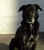 Dane of Freshfields — Unknown