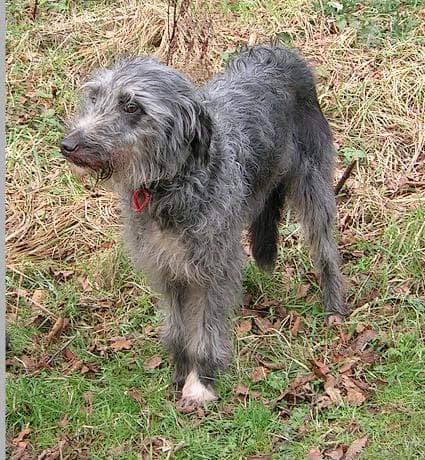 Florence — Unknown