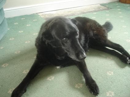 Captivating Cassie — Unknown