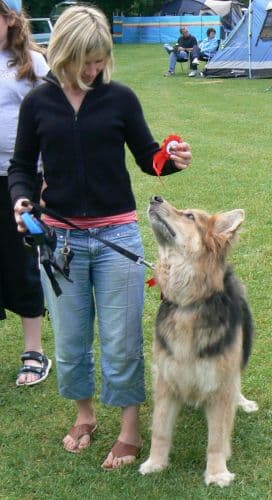 Oldies Camping weekend 2008 — Unknown