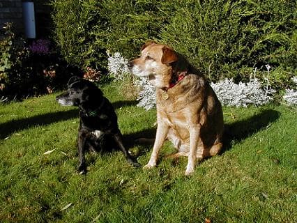 Cheeky the little sweetie! — Unknown