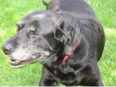 Cilla is now called Emma! — Unknown