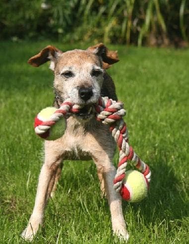 Alice is still adorable! — Unknown