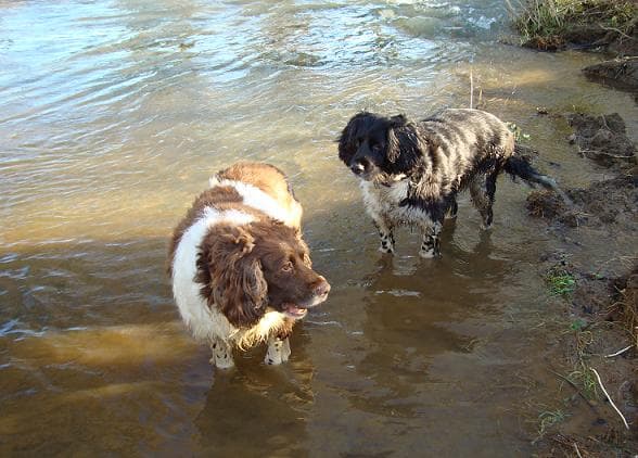 A message from Jade! — Unknown