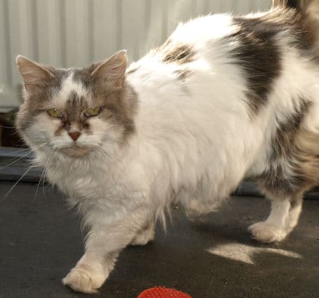 Felicity — Unknown