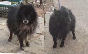 Elton and Kikki — Unknown