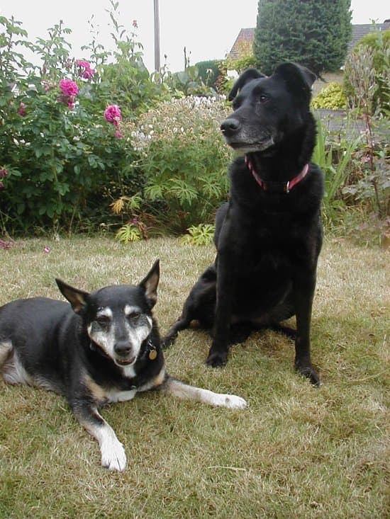 Roxy Relaxes At Home With Friends — Unknown
