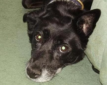 Terrific Titch — Unknown