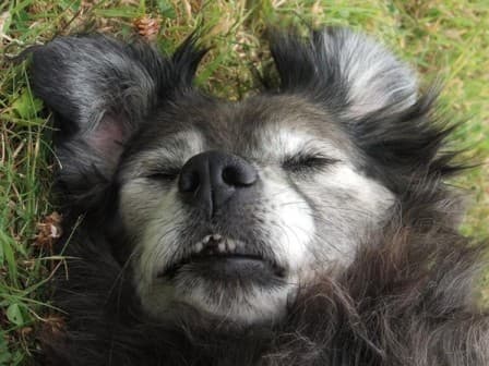 Kim’s in blissful retirement — Unknown