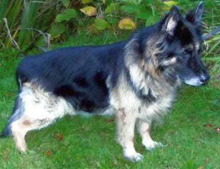 Soulful Snook — Unknown