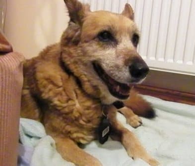 Tranquil Tammy — Unknown