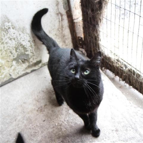 Dotty and Buzby — Unknown