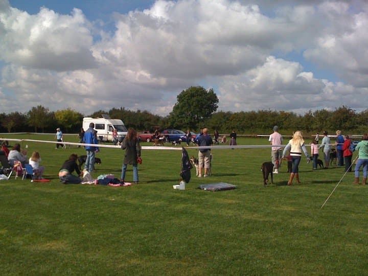 Canine Capers – The Results — Unknown