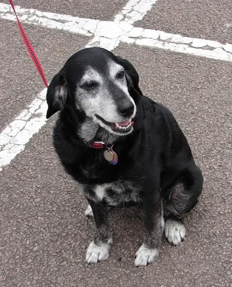 Grandma Kyro — Unknown