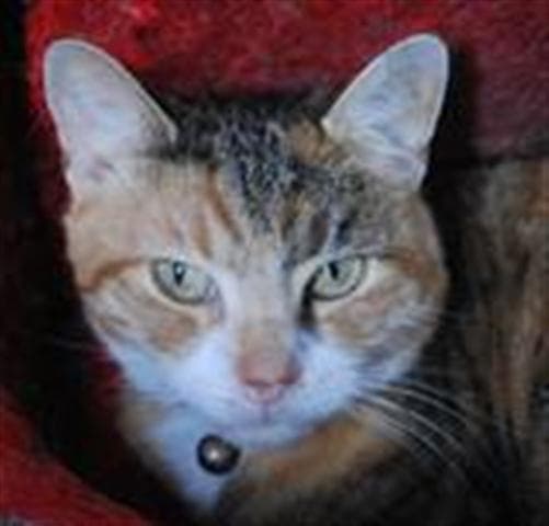 Ossie & Maddie — Unknown