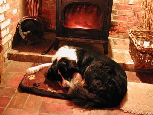 Beautiful Brady — Unknown