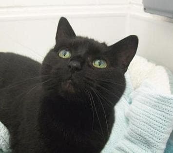 Esme & Willy — Unknown