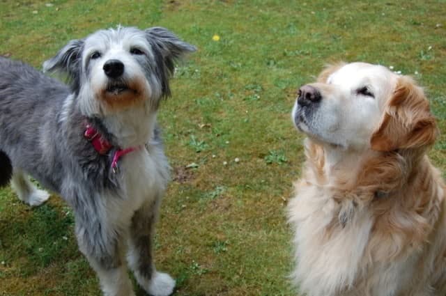 A lovely update on Kya — Unknown