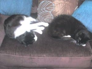 Barbie and Cindy — Unknown