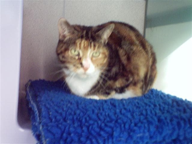 Cleo and Arjuna — Unknown