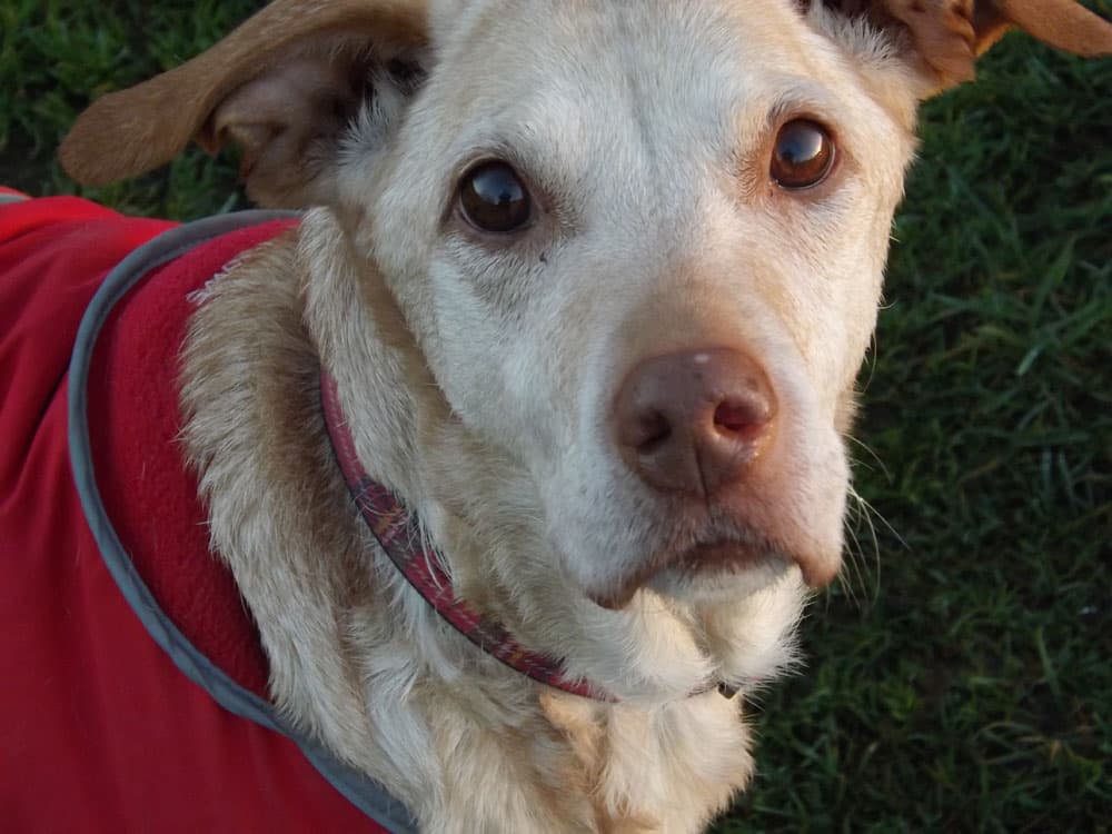 Tina has found her dream home! — Unknown