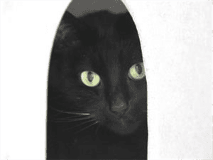 Charlie and Tinker — Unknown