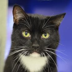 Fizzy and Remi — Unknown