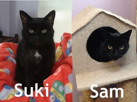 Suki & Sam — Unknown