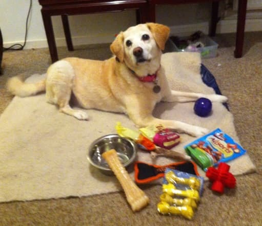 Wilma’s wonderful family Xmas — Unknown