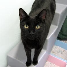 Bob and Martin — Unknown