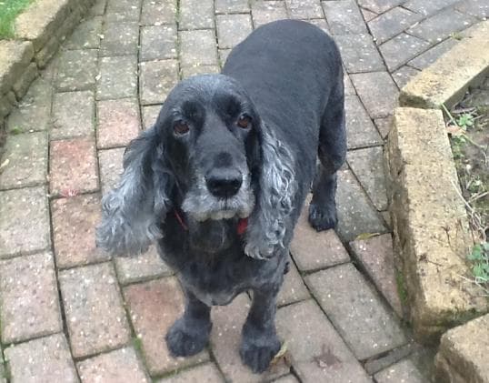 From a Jack to a King….. — Unknown