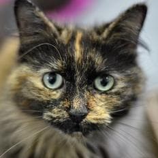 Scorpio and Kay — Unknown