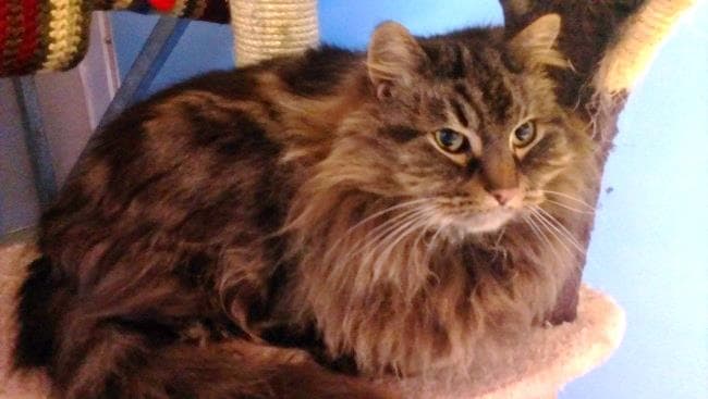 Smudge and Casey — Unknown