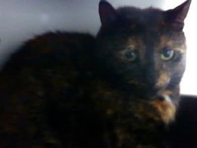 Rusty and Meg — Unknown