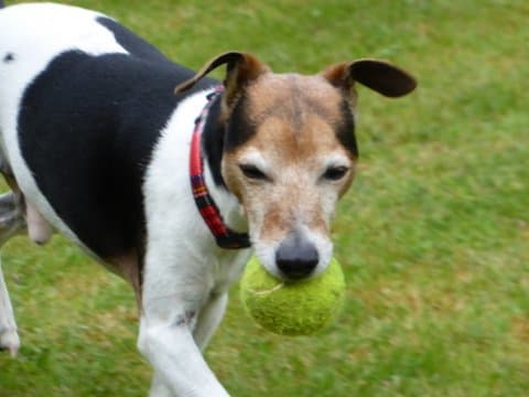 Second chance Lance — Unknown